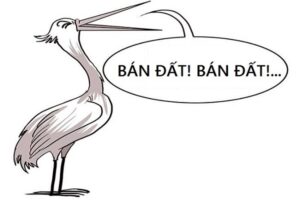 răn đe 'cò đất' và môi giới bất động