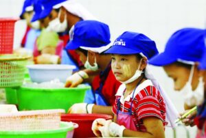 bảo vệ quyền lợi đối với lao động chưa thành niên